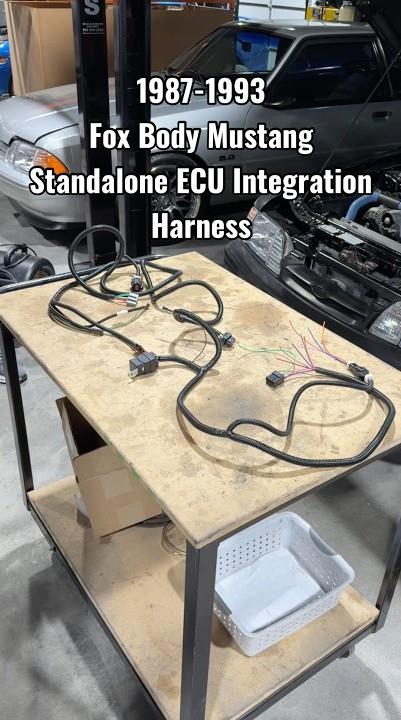 1987-1993 Fox Body Mustang SVE Dash Integration Harness - Overview